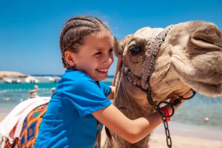 Ferragosto in Egitto | Tour 10 Giorni Cairo Crociera e Sharm